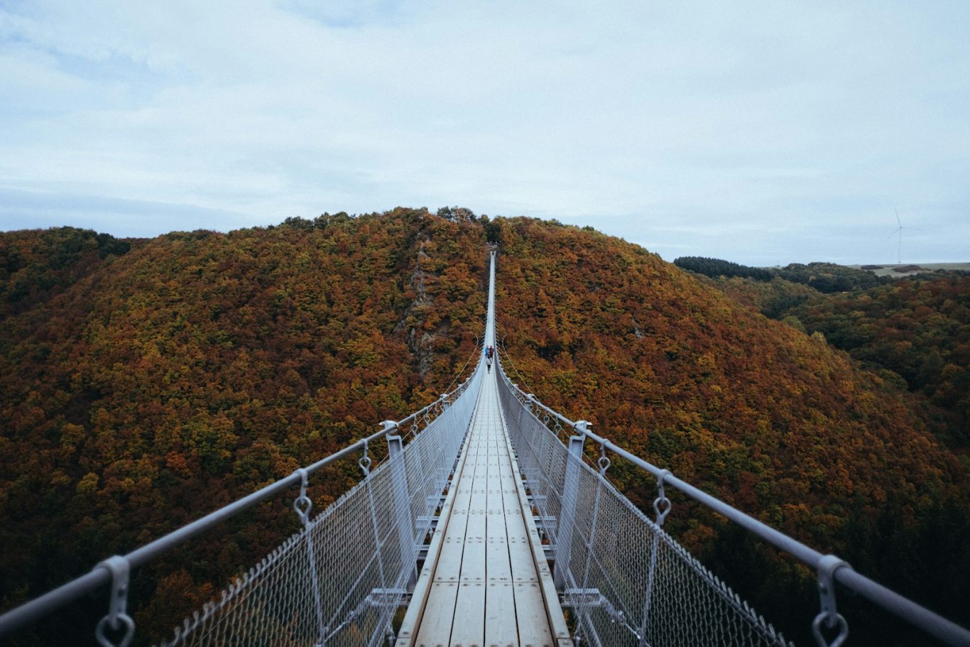 Hängeseilbrücke Geierlay